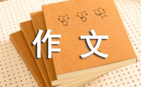 與你同行作文800字