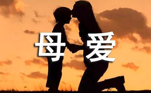 母愛(ài)是觸動(dòng)我心靈的力量作文（通用16篇）