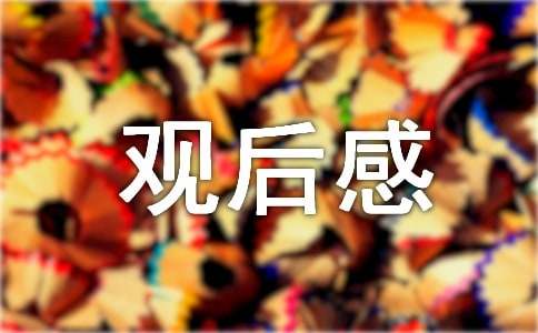 《阿甘正傳》觀后感2500字（精選16篇）