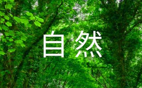 大自然的魅力作文800字（精選17篇）