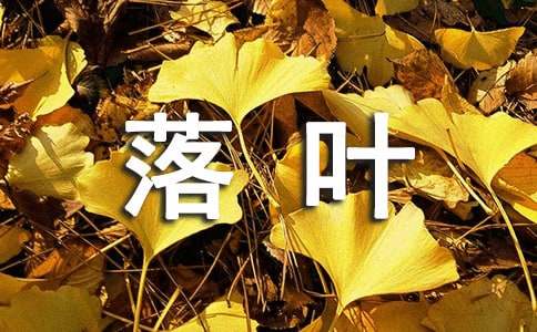 踩落葉作文（通用21篇）