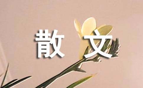 今夜,我又想你了散文