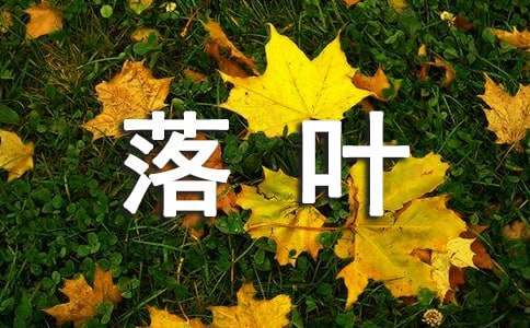 【精選】落葉的作文600字23篇