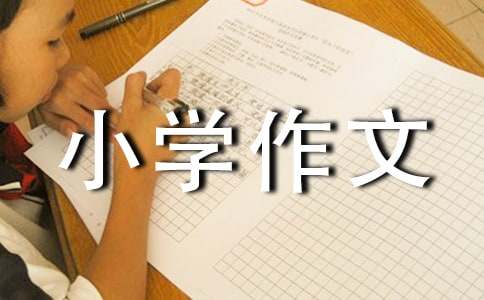 豐富多彩的暑假生活小學(xué)作文500字（精選15篇）