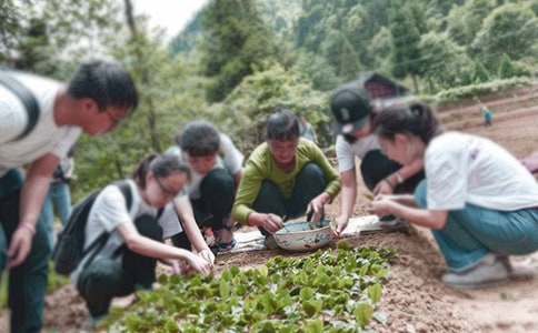 三下鄉活動調查報告