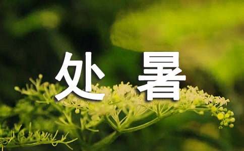 處暑相關的諺語（精選130句）