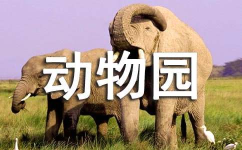 參觀動物園英語作文帶翻譯（精選10篇）