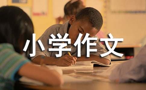 我的小學作文400字（精選16篇）