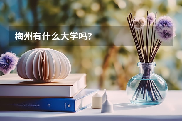 梅州有什么大學(xué)嗎？