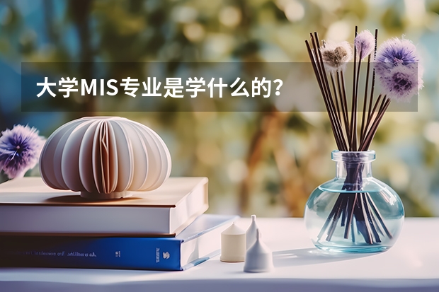 大學MIS專業(yè)是學什么的？