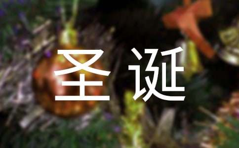 難忘的圣誕節小學作文（精選20篇）