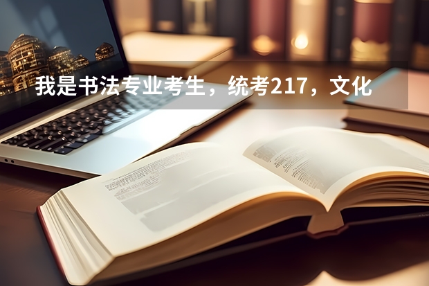 我是書法專業考生，統考217，文化得多少分可上本科？