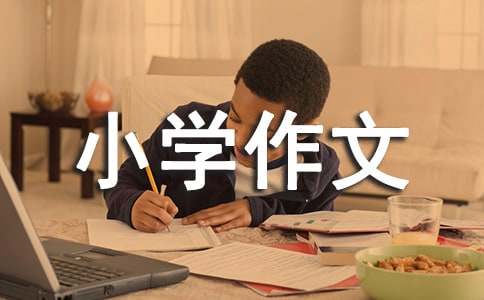 書店小學作文（通用32篇）