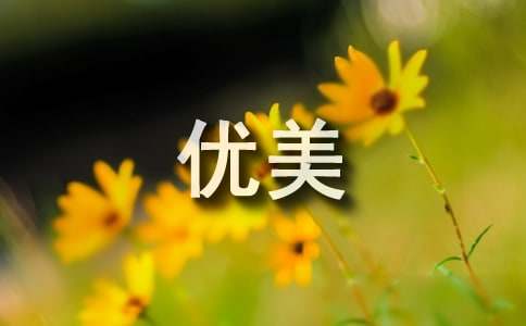 高中優美段落摘抄200字（精選100段）