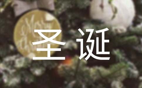 圣誕節(jié)二年級(jí)作文（精選40篇）