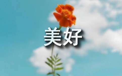 美好的一天作文300字（精選72篇）