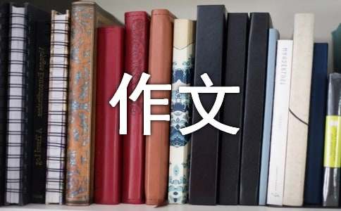 關(guān)于無人機的作文600字（精選44篇）