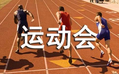 多彩的活動作文六年級點面結合運動會（精選35篇）