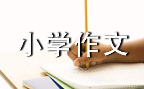 請到牛尾塘來小學作文（通用8篇）