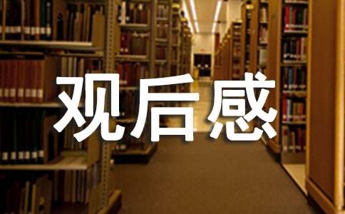 典籍里的中國(guó)尚書觀后感600字（通用7篇）