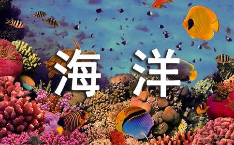 [優(yōu)選]保護海洋的作文600字