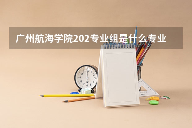 廣州航海學(xué)院202專業(yè)組是什么專業(yè)