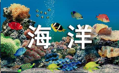 海洋樂園作文400字（通用15篇）