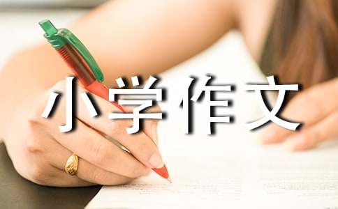 一次有趣的嘗試小學(xué)作文400字（通用28篇）