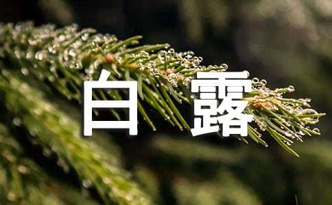 送朋友的白露快樂的句子180句