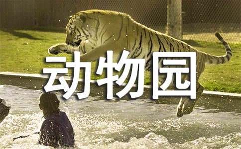 小小動物園四年級作文（通用32篇）