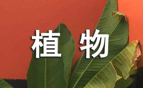 最新植物學(xué)學(xué)生的實(shí)習(xí)報告