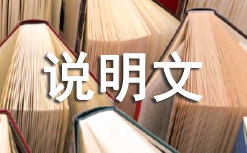 桔子說(shuō)明文（精選40篇）