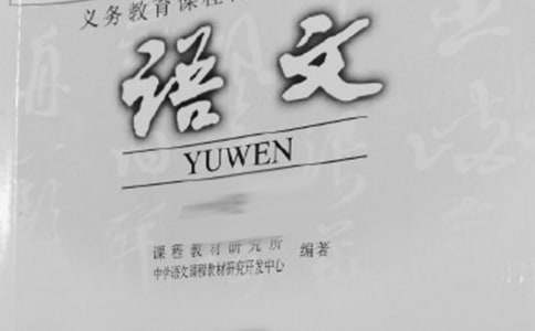 精選二年級下冊語文教學(xué)計劃模板11篇