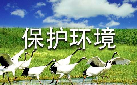 關(guān)于保護環(huán)境的建議書1500字（精選6篇）