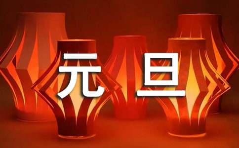 有關(guān)寫元旦的作文800字（通用15篇）