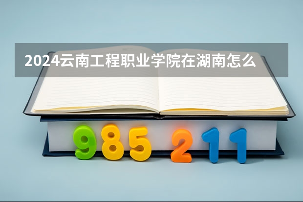 2024云南工程職業學院在湖南怎么招生的