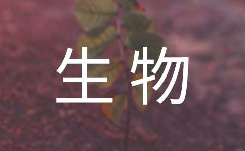 大學(xué)生物流專業(yè)實(shí)習(xí)報(bào)告