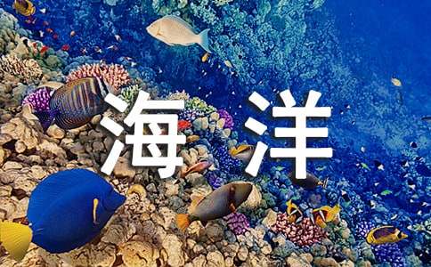 《海洋奇緣2》觀后感（精選12篇）