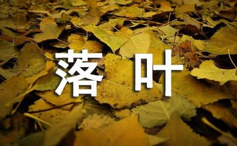 我是一片落葉六年級(jí)作文（精選27篇）