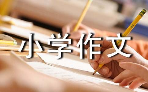 小學作文未來的我500字（通用18篇）