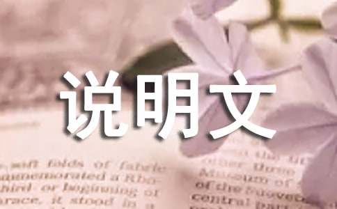 我推薦的一本書說明文作文800字（通用18篇）