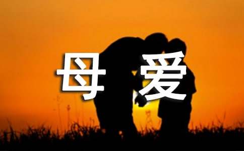 我懂得了母愛優秀作文500字（通用33篇）