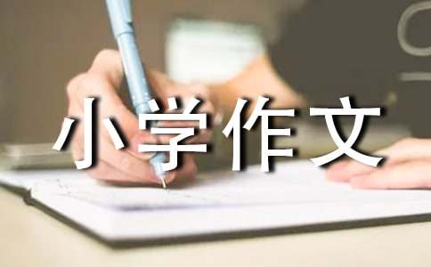 永遠(yuǎn)的回憶小學(xué)作文（通用22篇）