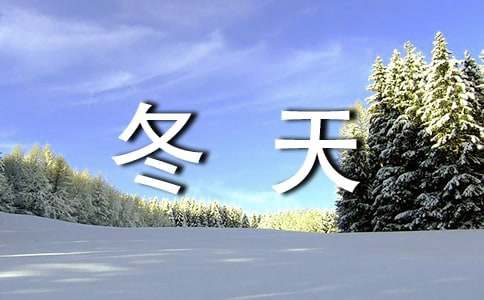 冬天的第一場雪小學生優秀作文200字（通用42篇）