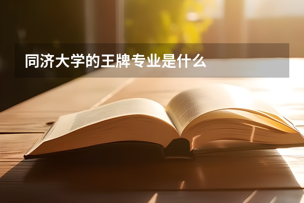 同濟(jì)大學(xué)的王牌專業(yè)是什么