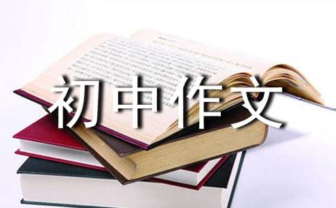 第一次遇見了你初中作文800字