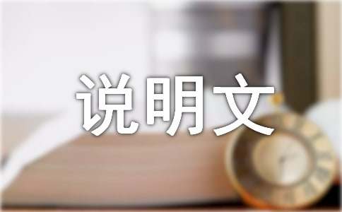 關(guān)于橋的說明文通用15篇