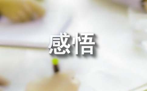 感悟經典征文（通用25篇）