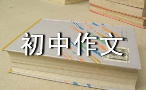 一路與淺笑同行初中作文900字（精選29篇）