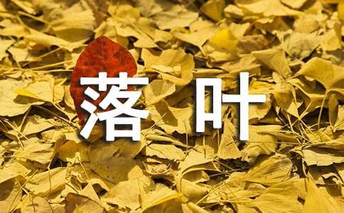 落葉的價值作文550字（精選15篇）